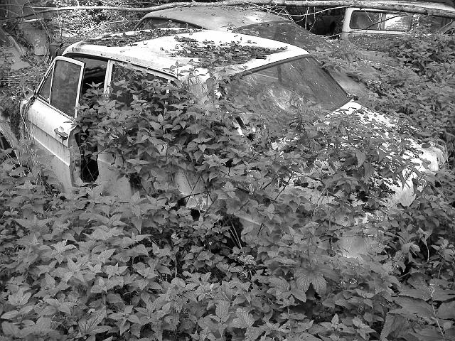 Autofriedhof - 198.JPG - Historischer Autofriedhof,    Gürbetal (CH)